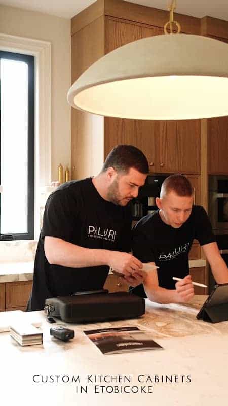 Paluri Kitchen & Cabinetry, cabinet and countertop installation in Etobicoke, image 3
